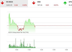 'Vn-Index cuối năm có thể đạt 1.024 điểm'