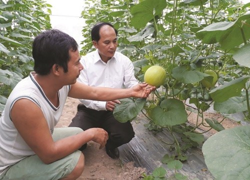 Xây dựng nông thôn mới gắn liền nâng cao đời sống nhân dân