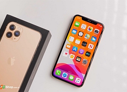 3 lý do iPhone 11 cực đắt nhưng vẫn "xắt ra miếng"