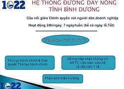 Bình Dương công bố đường dây nóng 1022 để phản ánh khi bị sách nhiễu