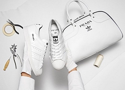 Đơn giản đến khó tin, ít ai ngờ được đây là siêu phẩm collab của adidas và 'ông lớn' Prada