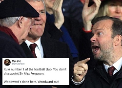 Ed Woodward vô lễ với Sir Alex, fan M.U nổi giận