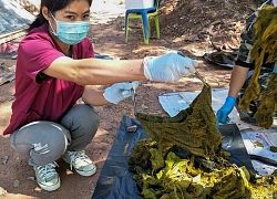 Hươu chết ở Thái Lan, trong bụng có 7 kg rác và nhựa