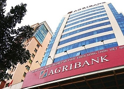 Lý giải hiện tượng lợi nhuận ở Agribank