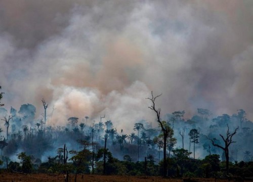 Tổng thống Brazil gọi nạn phá rừng Amazon là 'văn hóa'