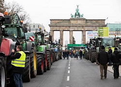 10.000 nông dân Đức kéo tới Berlin phản đối hạn chế phân bón, thuốc trừ sâu