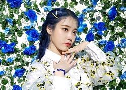 5 ca khúc Kpop giữ nhiều giờ Perfect All-Kill nhất: "Blueming" (IU) mới ra mắt đã leo top, ngôi vương thuộc về "bản tình ca quốc dân"