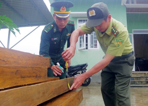 Bắt đối tượng vận chuyển 19 phách gỗ trái phép