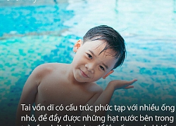 Chuyên gia cảnh báo: Mẹ nào cũng bảo con lắc đầu sau khi tắm để nước ra khỏi tai, việc làm này sẽ để lại 1 hậu quả nghiêm trọng