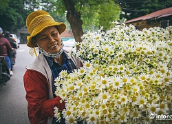 Cúc Họa mi "xuống phố" mang đông về khắp phố phường Hà Nội