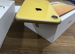 iPhone Xr sản xuất tại Ấn Độ bắt đầu được Apple xuất khẩu ra thị trường quốc tế