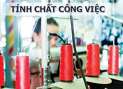 Nguy cơ mắc ung thư bàng quang từ chính nơi làm việc của bạn