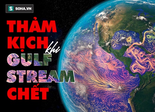 'Quả bom nhiệt' kích hoạt, giết chết hải lưu Gulf Stream: Viễn cảnh đáng sợ nào sẽ xảy ra với con người?