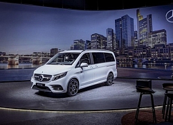 Siêu xe gia đình Mercedes V class 2020 về VN