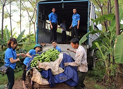 Vĩnh Phúc xây dựng nông thôn mới: Đâu khó có sức trẻ thanh niên