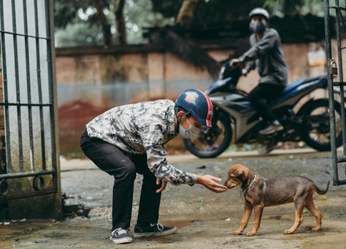 2 tên trộm chó lội ao trốn chạy khi bị cảnh sát giao thông truy đuổi