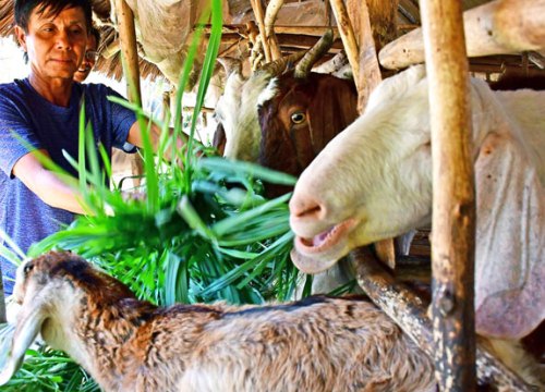 Cà Mau: Đột phá giảm nghèo vùng dân tộc thiểu số