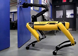 Chó robot của Boston Dynamics lần đầu tham gia vào biệt đội phá bom của cảnh sát Mỹ