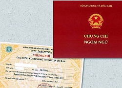 Chứng chỉ Ngoại ngữ trong xét tuyển đại học