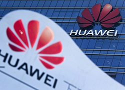 Huawei: 1.500 người Australia sẽ mất việc làm do lệnh cấm mạng 5G