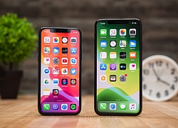 iPhone 11 Pro Max qua sử dụng về nhiều, giá vẫn cao