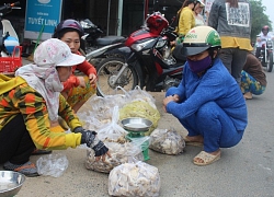 Mùa nấm mối ở Phú Yên: Mọc nhiều, có người trúng cả... bao tải