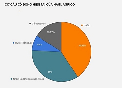 Ông Trần Bá Dương muốn tăng sở hữu tại công ty bầu Đức