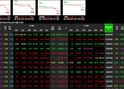 Phiên 2/12: Lực bán ồ ạt - sắc đỏ bao phủ sàn điện tử, VN-Index lao dốc