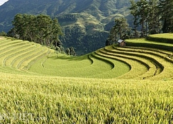 Yên Bái: Tấp nập khai hoang ruộng bậc thang để "hút" khách du lịch