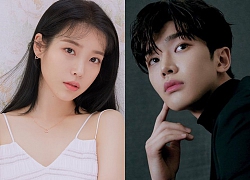 IU xinh đẹp trên HIGH CUT - Rowoon (SF9) đạt giải thưởng diễn xuất đầu tiên với 'Extraordinary You'