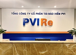 PVIRe được chấp thuận hồ sơ trở thành công ty đại chúng