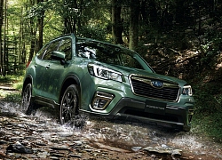 Subaru Forester X-Edition 2020 với nội thất chống nước