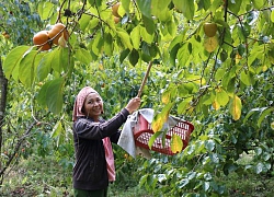 Thủ tướng đối thoại với ND: Làng quê đáng sống vắng bóng thanh niên