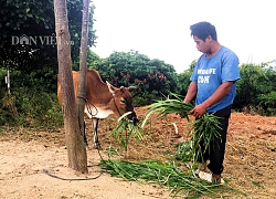 Lý do 5 hộ dân ở Kon Tum viết đơn xin thoát nghèo