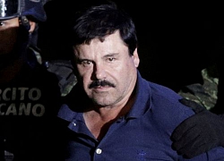 Trùm ma túy El Chapo từng "trả lương" cho cả bộ máy chính quyền Mexico?