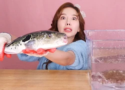 Được mệnh danh là "thánh ăn cá" ấy thế mà lần nào làm video mukbang cá, Youtuber Ssoyoung cũng bị "vật" đến thê thảm