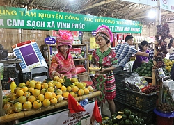 Phong phú đặc sản vùng miền