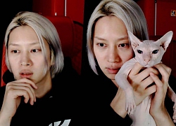 Heechul xác nhận nuôi thú cưng của Sulli, tiết lộ từng khóc không dứt vì tình trạng của chú mèo đắt nhất nhì hành tinh