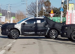 Bán tải Hyundai Santa Cruz lộ ảnh chạy thử