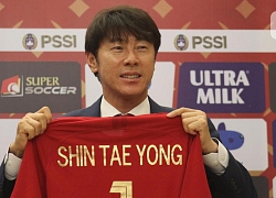 HLV Shin Tae-yong: 'Tôi coi ông Park như một người thầy'