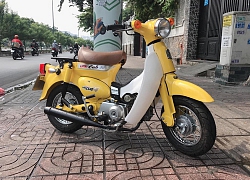 Vốn đã bé nhỏ, Honda Cub còn mắc "bệnh lùn" sau khi được dân chơi Sài Thành "dao kéo"