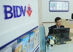 BIDV siết khoản nợ nghìn tỷ ở An Giang