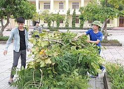 Hà Tĩnh: "Phép thuật" thay đổi lực học ở trường có điểm đầu vào đội sổ