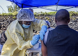 Liên minh Gavi lập ngân hàng dự trữ vắcxin phòng virus Ebola