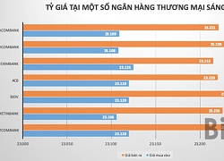 Tỷ giá USD/VND đi ngang