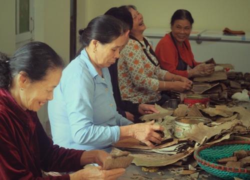 Về làng bánh gai chỉ rộn ràng nhất dịp giáp Tết