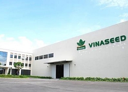 Vinaseed trả cổ tức tiền mặt 15%