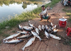 Cần thủ khoe chiến lợi phẩm với hơn 20 chú cá "siêu to khổng lồ" khiến dân mạng trầm trồ, chủ hồ thì khóc thét