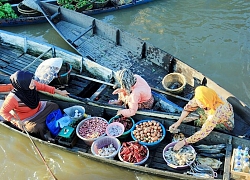 Đi tour chợ nổi Lok Baintan độc đáo của Indonesia