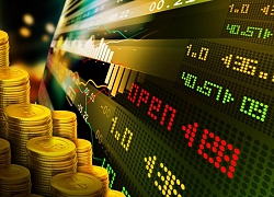 Giá vàng hôm nay 11/12: Đồng USD trượt giảm, giá vàng vững đà tăng